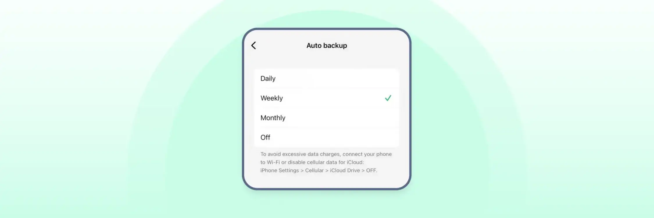 WhatsApp auto backup settings screen showing daily, weekly, and monthly backup options on iPhone